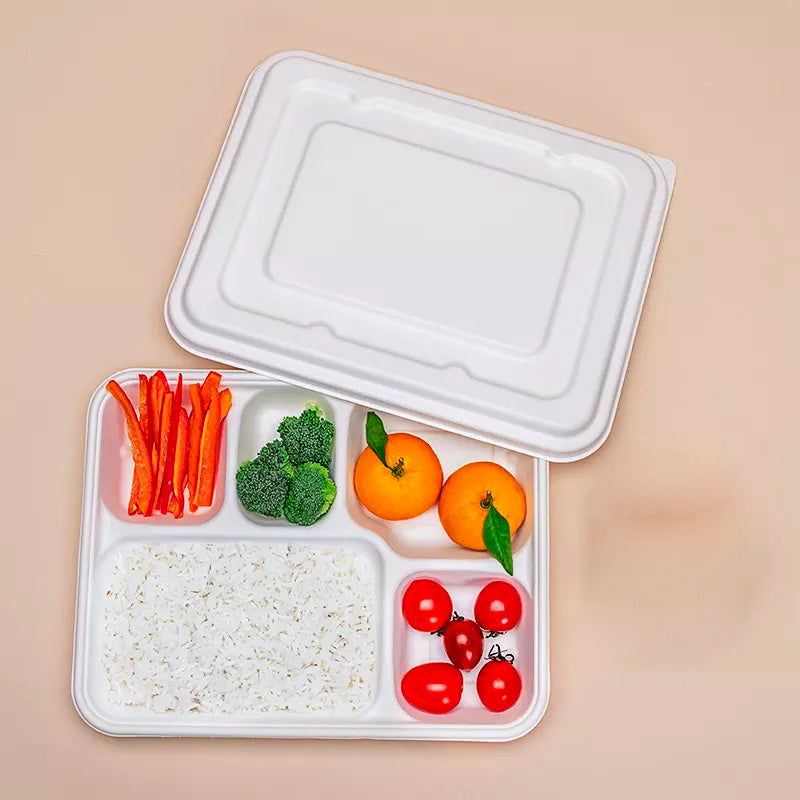 Bagasse 5 Compartment Lunch Box with Lid Any Size Customization OEM/ODM