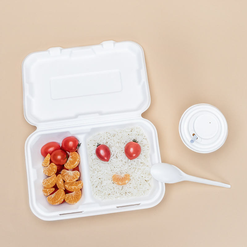 Bagasse Fiber Biodegradable Containers With Lids  9"x6" (2-Compartment Boxes) For Takeout MOQ 50pcs/1unit Wholesale and Customization